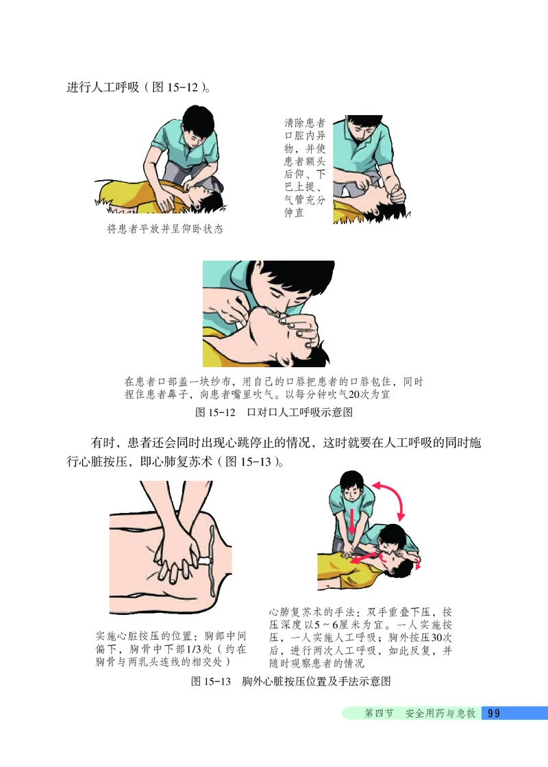北京版8年级生物下册高清教材_4-教培资料-26年最新资料-同步更新_初中高中教资_03科三专项（进去保存报考的学科即可）_02科三专项（笔记真题思维导图教学设计版本二）