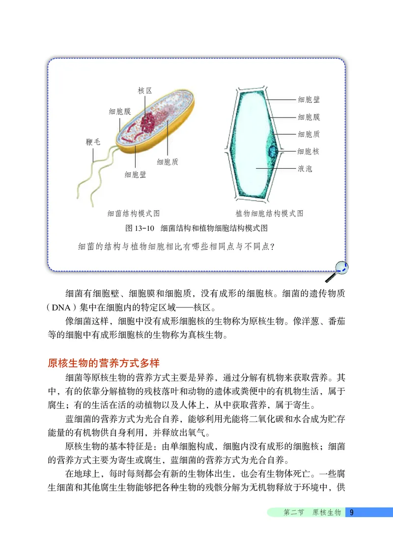 北京版8年级生物下册高清教材_4-教培资料-26年最新资料-同步更新_初中高中教资_03科三专项（进去保存报考的学科即可）_02科三专项（笔记真题思维导图教学设计版本二）