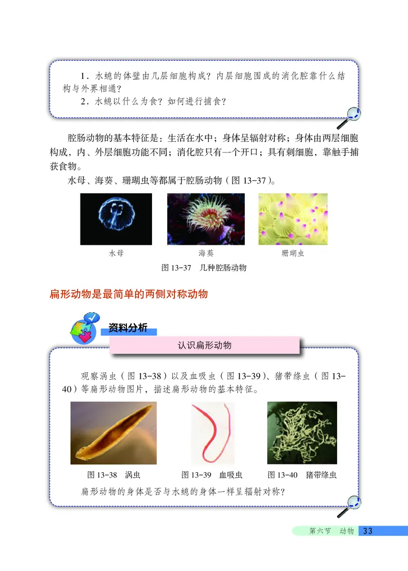 北京版8年级生物下册高清教材_4-教培资料-26年最新资料-同步更新_初中高中教资_03科三专项（进去保存报考的学科即可）_02科三专项（笔记真题思维导图教学设计版本二）