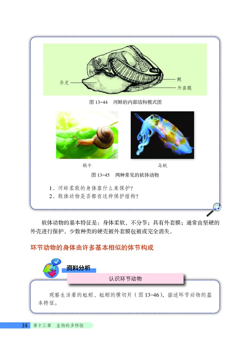 北京版8年级生物下册高清教材_4-教培资料-26年最新资料-同步更新_初中高中教资_03科三专项（进去保存报考的学科即可）_02科三专项（笔记真题思维导图教学设计版本二）