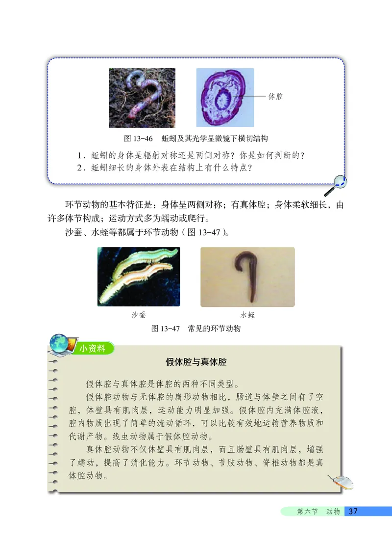 北京版8年级生物下册高清教材_4-教培资料-26年最新资料-同步更新_初中高中教资_03科三专项（进去保存报考的学科即可）_02科三专项（笔记真题思维导图教学设计版本二）