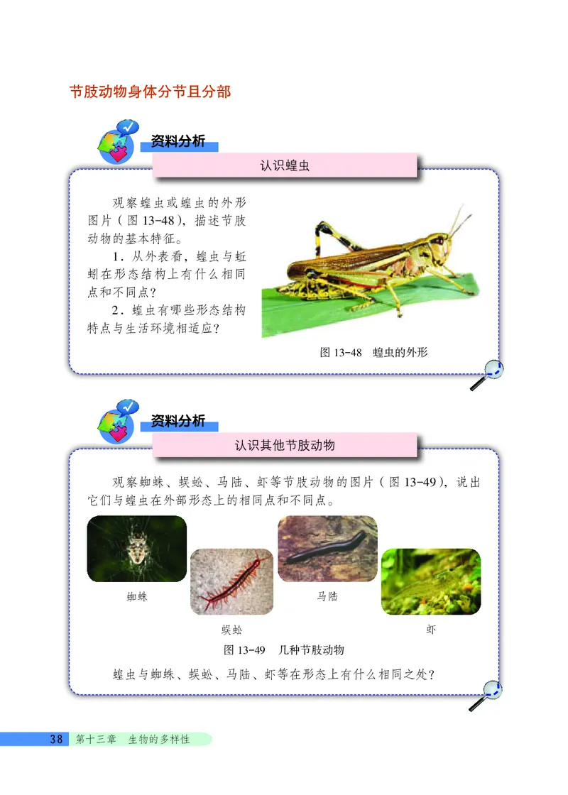 北京版8年级生物下册高清教材_4-教培资料-26年最新资料-同步更新_初中高中教资_03科三专项（进去保存报考的学科即可）_02科三专项（笔记真题思维导图教学设计版本二）