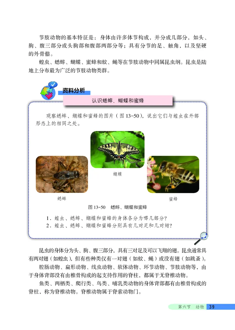 北京版8年级生物下册高清教材_4-教培资料-26年最新资料-同步更新_初中高中教资_03科三专项（进去保存报考的学科即可）_02科三专项（笔记真题思维导图教学设计版本二）