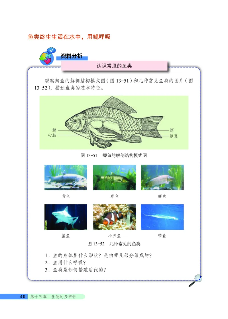 北京版8年级生物下册高清教材_4-教培资料-26年最新资料-同步更新_初中高中教资_03科三专项（进去保存报考的学科即可）_02科三专项（笔记真题思维导图教学设计版本二）
