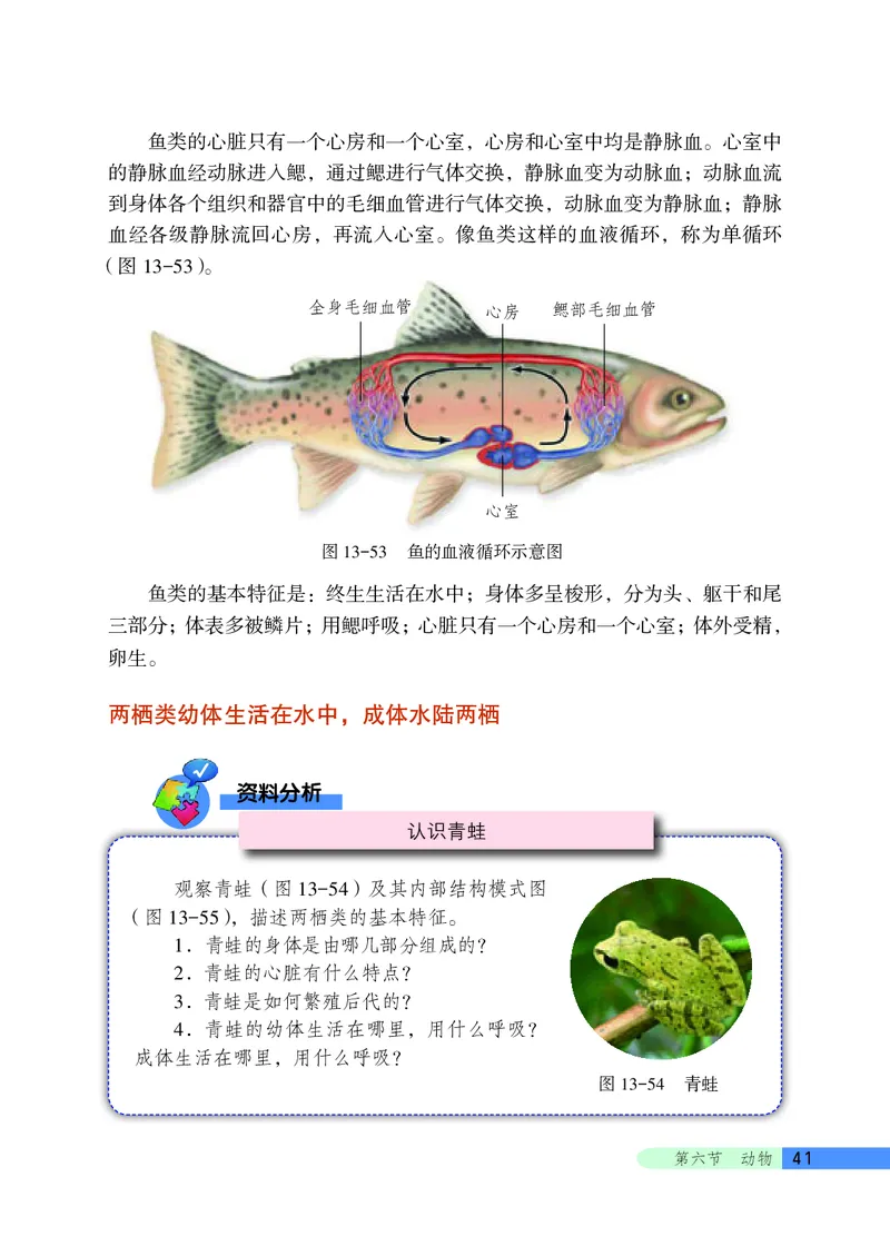 北京版8年级生物下册高清教材_4-教培资料-26年最新资料-同步更新_初中高中教资_03科三专项（进去保存报考的学科即可）_02科三专项（笔记真题思维导图教学设计版本二）
