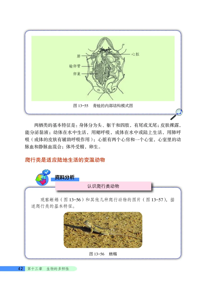 北京版8年级生物下册高清教材_4-教培资料-26年最新资料-同步更新_初中高中教资_03科三专项（进去保存报考的学科即可）_02科三专项（笔记真题思维导图教学设计版本二）