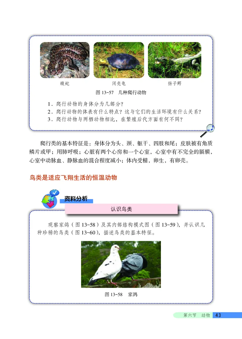 北京版8年级生物下册高清教材_4-教培资料-26年最新资料-同步更新_初中高中教资_03科三专项（进去保存报考的学科即可）_02科三专项（笔记真题思维导图教学设计版本二）