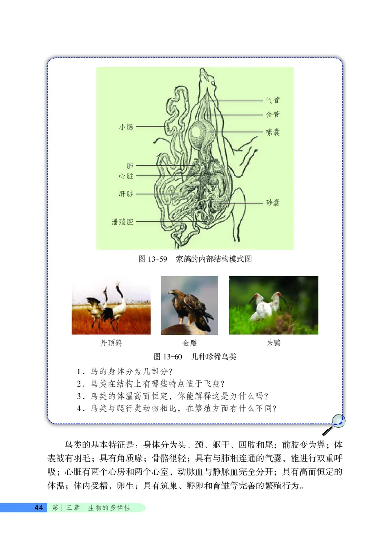 北京版8年级生物下册高清教材_4-教培资料-26年最新资料-同步更新_初中高中教资_03科三专项（进去保存报考的学科即可）_02科三专项（笔记真题思维导图教学设计版本二）