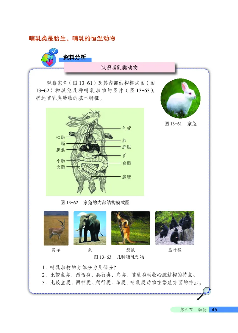 北京版8年级生物下册高清教材_4-教培资料-26年最新资料-同步更新_初中高中教资_03科三专项（进去保存报考的学科即可）_02科三专项（笔记真题思维导图教学设计版本二）