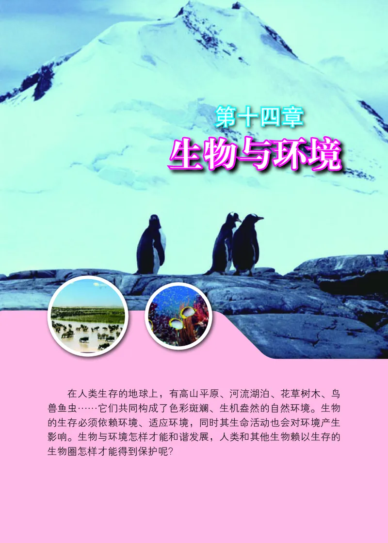 北京版8年级生物下册高清教材_4-教培资料-26年最新资料-同步更新_初中高中教资_03科三专项（进去保存报考的学科即可）_02科三专项（笔记真题思维导图教学设计版本二）