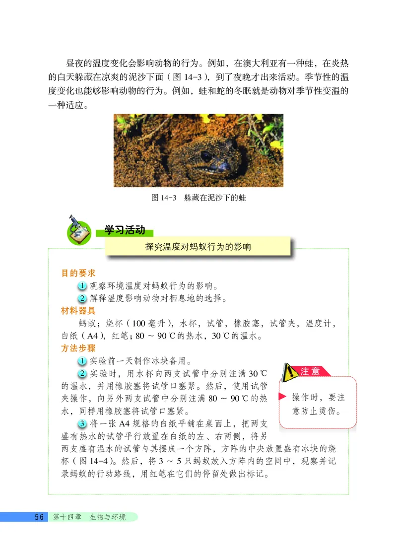 北京版8年级生物下册高清教材_4-教培资料-26年最新资料-同步更新_初中高中教资_03科三专项（进去保存报考的学科即可）_02科三专项（笔记真题思维导图教学设计版本二）