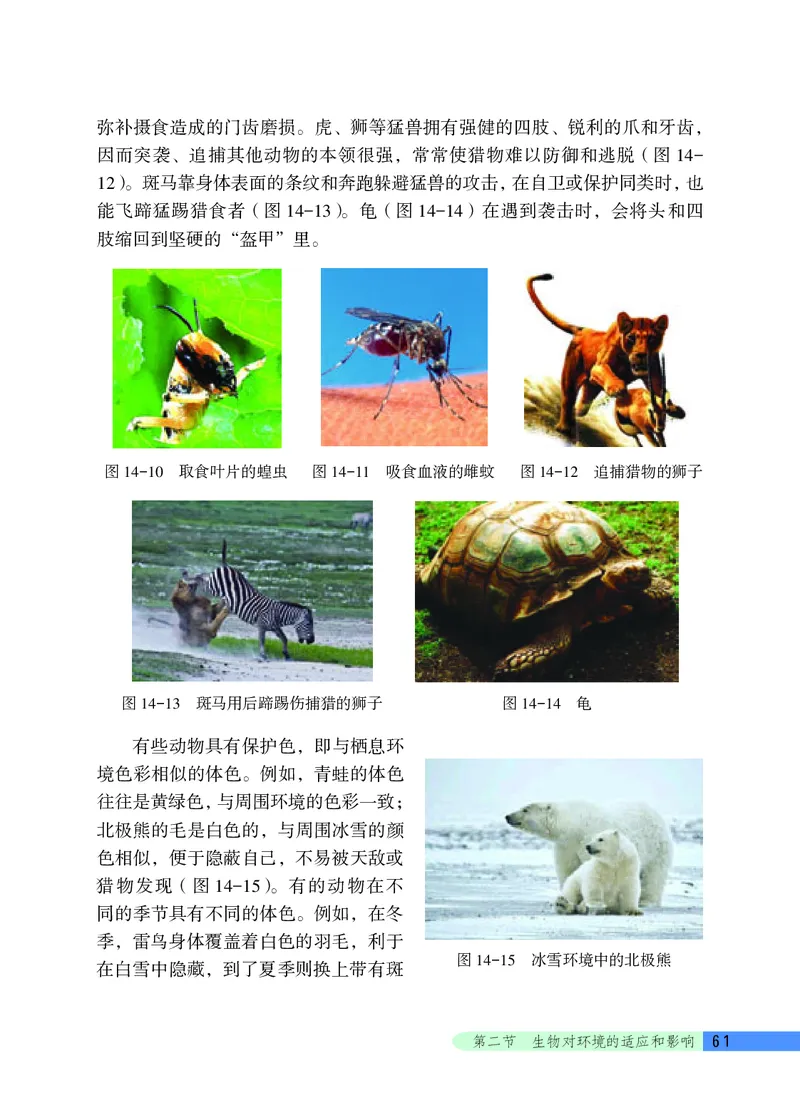 北京版8年级生物下册高清教材_4-教培资料-26年最新资料-同步更新_初中高中教资_03科三专项（进去保存报考的学科即可）_02科三专项（笔记真题思维导图教学设计版本二）