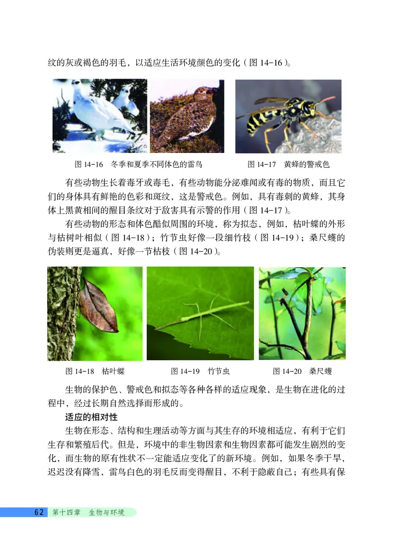 北京版8年级生物下册高清教材_4-教培资料-26年最新资料-同步更新_初中高中教资_03科三专项（进去保存报考的学科即可）_02科三专项（笔记真题思维导图教学设计版本二）