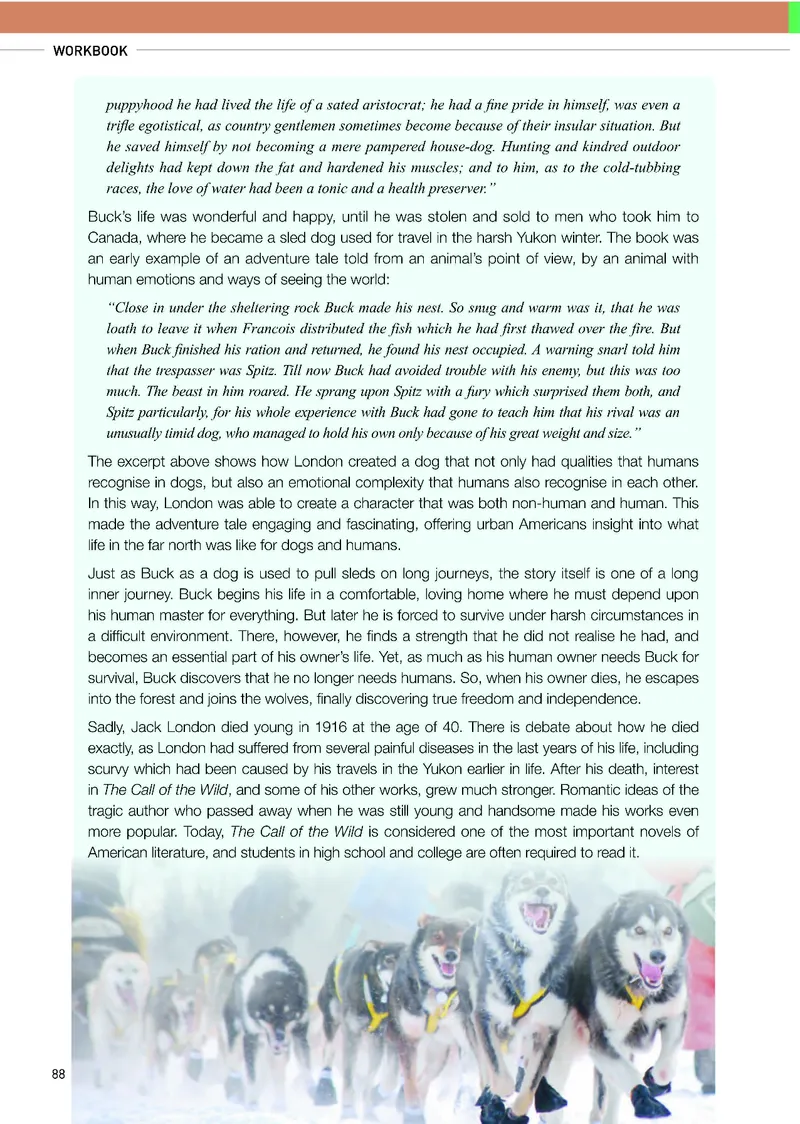 人教版英语选修第二册高清教材_4-教培资料-26年最新资料-同步更新_初中高中教资_03科三专项（进去保存报考的学科即可）_02科三专项（笔记真题思维导图教学设计版本二）