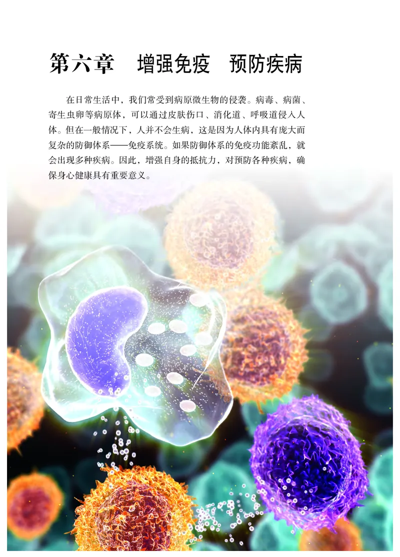 冀少版7年级生物下册高清教材_4-教培资料-26年最新资料-同步更新_初中高中教资_03科三专项（进去保存报考的学科即可）_02科三专项（笔记真题思维导图教学设计版本二）