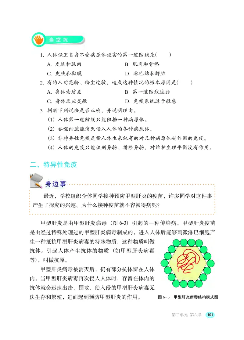 冀少版7年级生物下册高清教材_4-教培资料-26年最新资料-同步更新_初中高中教资_03科三专项（进去保存报考的学科即可）_02科三专项（笔记真题思维导图教学设计版本二）