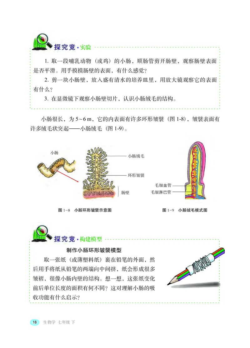 冀少版7年级生物下册高清教材_4-教培资料-26年最新资料-同步更新_初中高中教资_03科三专项（进去保存报考的学科即可）_02科三专项（笔记真题思维导图教学设计版本二）