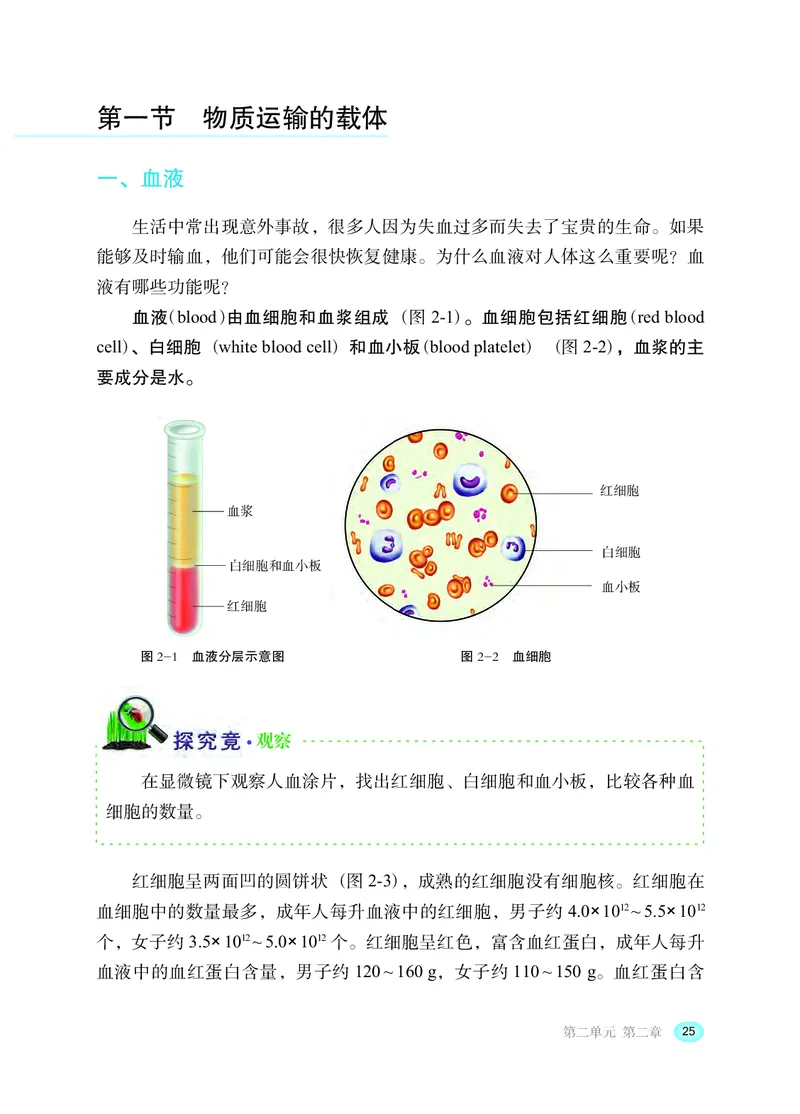 冀少版7年级生物下册高清教材_4-教培资料-26年最新资料-同步更新_初中高中教资_03科三专项（进去保存报考的学科即可）_02科三专项（笔记真题思维导图教学设计版本二）