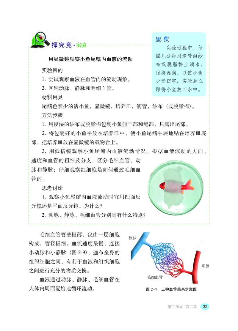 冀少版7年级生物下册高清教材_4-教培资料-26年最新资料-同步更新_初中高中教资_03科三专项（进去保存报考的学科即可）_02科三专项（笔记真题思维导图教学设计版本二）