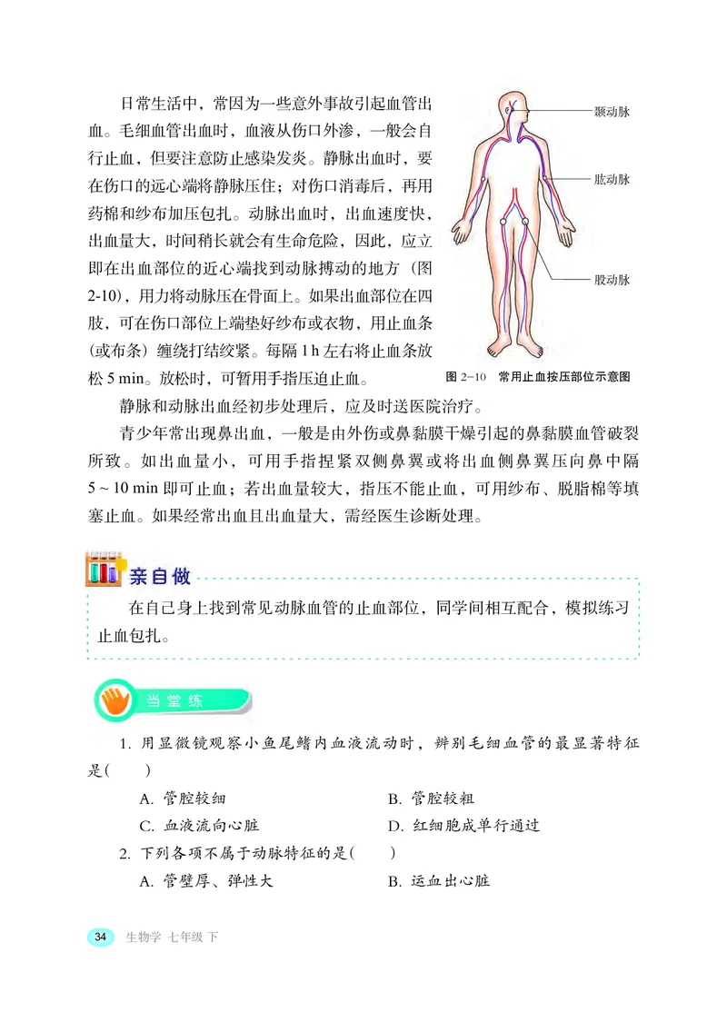 冀少版7年级生物下册高清教材_4-教培资料-26年最新资料-同步更新_初中高中教资_03科三专项（进去保存报考的学科即可）_02科三专项（笔记真题思维导图教学设计版本二）
