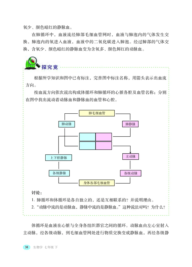 冀少版7年级生物下册高清教材_4-教培资料-26年最新资料-同步更新_初中高中教资_03科三专项（进去保存报考的学科即可）_02科三专项（笔记真题思维导图教学设计版本二）