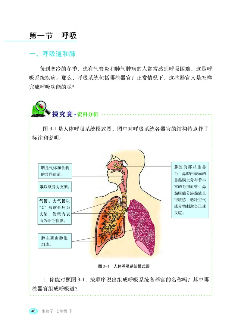 冀少版7年级生物下册高清教材_4-教培资料-26年最新资料-同步更新_初中高中教资_03科三专项（进去保存报考的学科即可）_02科三专项（笔记真题思维导图教学设计版本二）