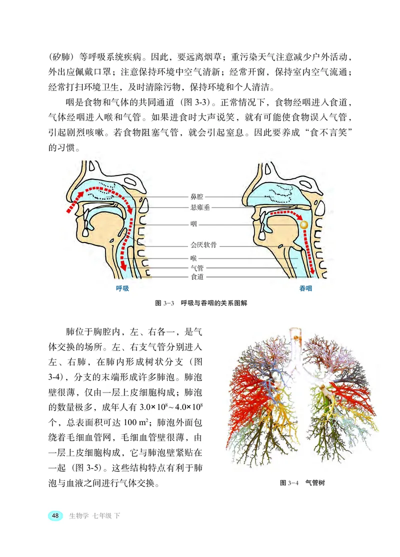 冀少版7年级生物下册高清教材_4-教培资料-26年最新资料-同步更新_初中高中教资_03科三专项（进去保存报考的学科即可）_02科三专项（笔记真题思维导图教学设计版本二）