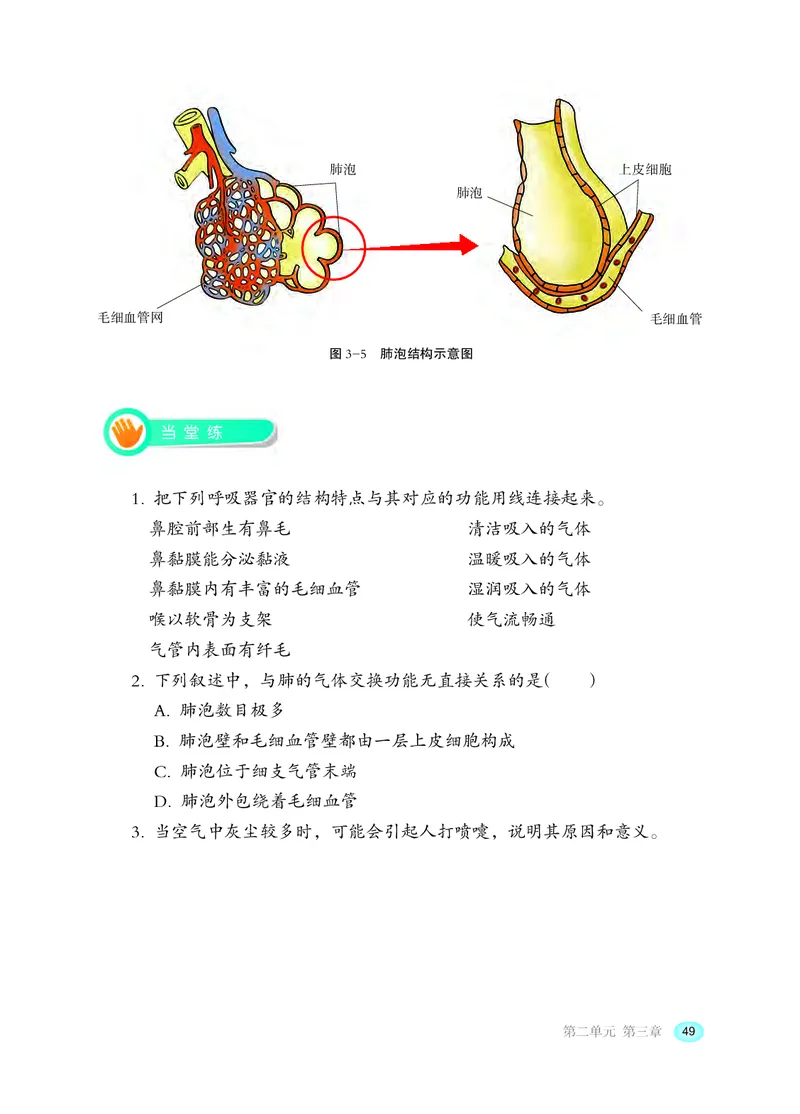 冀少版7年级生物下册高清教材_4-教培资料-26年最新资料-同步更新_初中高中教资_03科三专项（进去保存报考的学科即可）_02科三专项（笔记真题思维导图教学设计版本二）