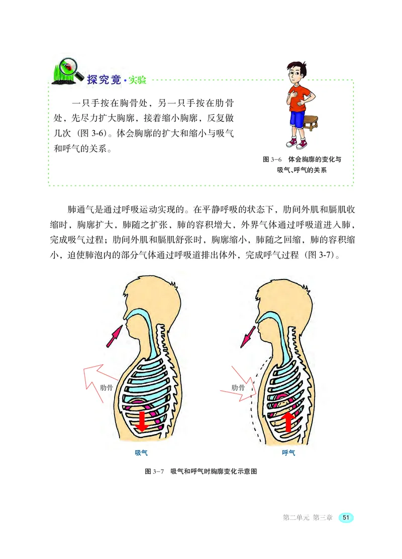 冀少版7年级生物下册高清教材_4-教培资料-26年最新资料-同步更新_初中高中教资_03科三专项（进去保存报考的学科即可）_02科三专项（笔记真题思维导图教学设计版本二）