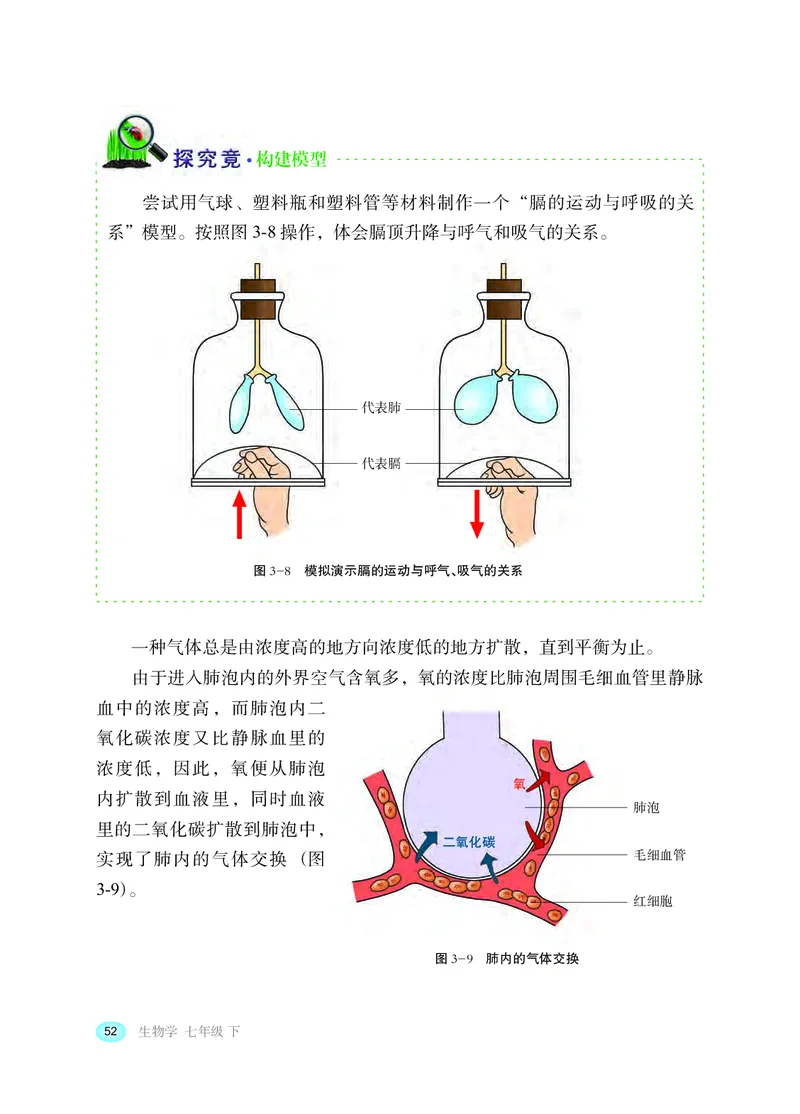 冀少版7年级生物下册高清教材_4-教培资料-26年最新资料-同步更新_初中高中教资_03科三专项（进去保存报考的学科即可）_02科三专项（笔记真题思维导图教学设计版本二）