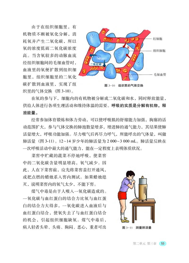 冀少版7年级生物下册高清教材_4-教培资料-26年最新资料-同步更新_初中高中教资_03科三专项（进去保存报考的学科即可）_02科三专项（笔记真题思维导图教学设计版本二）