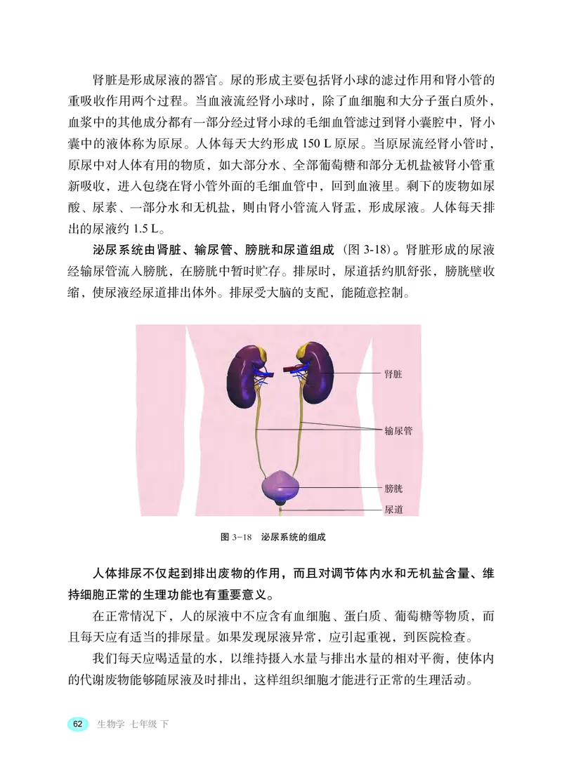 冀少版7年级生物下册高清教材_4-教培资料-26年最新资料-同步更新_初中高中教资_03科三专项（进去保存报考的学科即可）_02科三专项（笔记真题思维导图教学设计版本二）