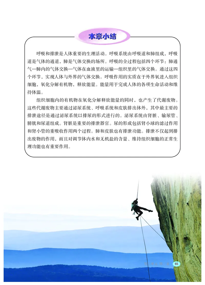 冀少版7年级生物下册高清教材_4-教培资料-26年最新资料-同步更新_初中高中教资_03科三专项（进去保存报考的学科即可）_02科三专项（笔记真题思维导图教学设计版本二）