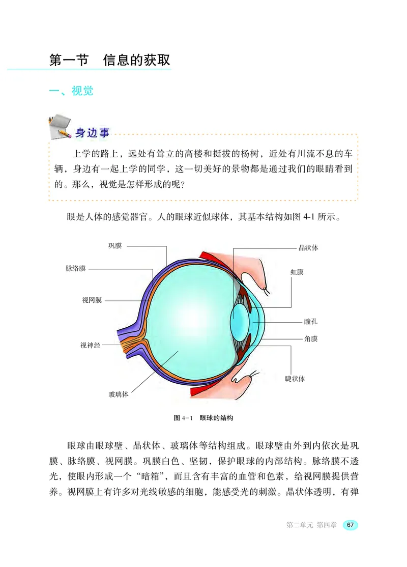 冀少版7年级生物下册高清教材_4-教培资料-26年最新资料-同步更新_初中高中教资_03科三专项（进去保存报考的学科即可）_02科三专项（笔记真题思维导图教学设计版本二）