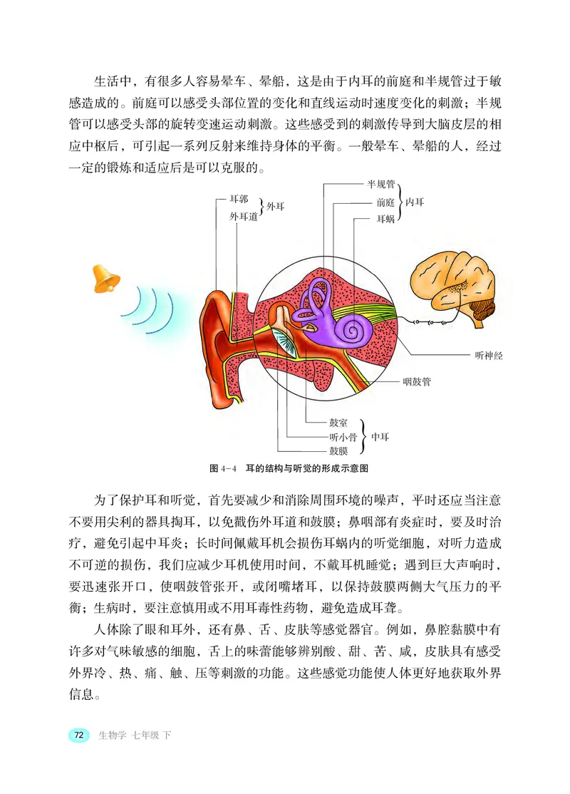 冀少版7年级生物下册高清教材_4-教培资料-26年最新资料-同步更新_初中高中教资_03科三专项（进去保存报考的学科即可）_02科三专项（笔记真题思维导图教学设计版本二）