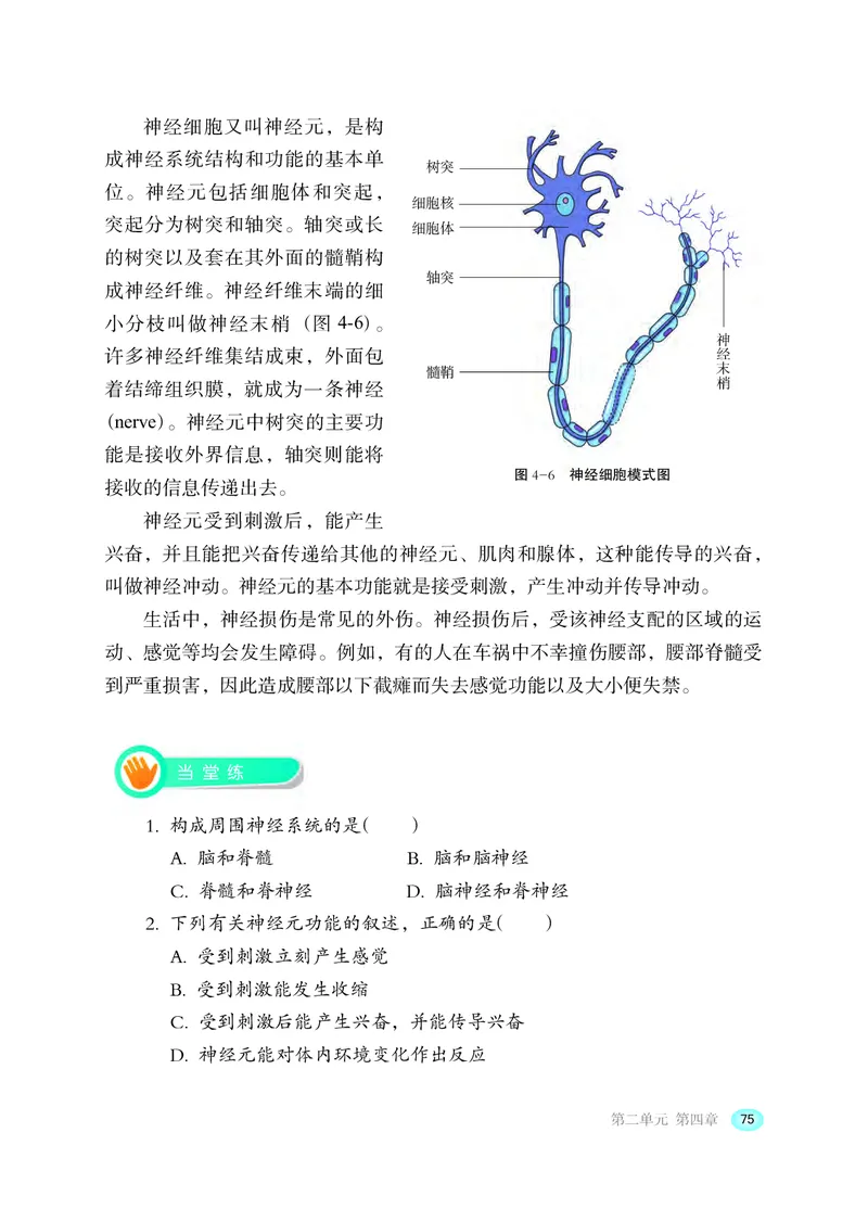 冀少版7年级生物下册高清教材_4-教培资料-26年最新资料-同步更新_初中高中教资_03科三专项（进去保存报考的学科即可）_02科三专项（笔记真题思维导图教学设计版本二）