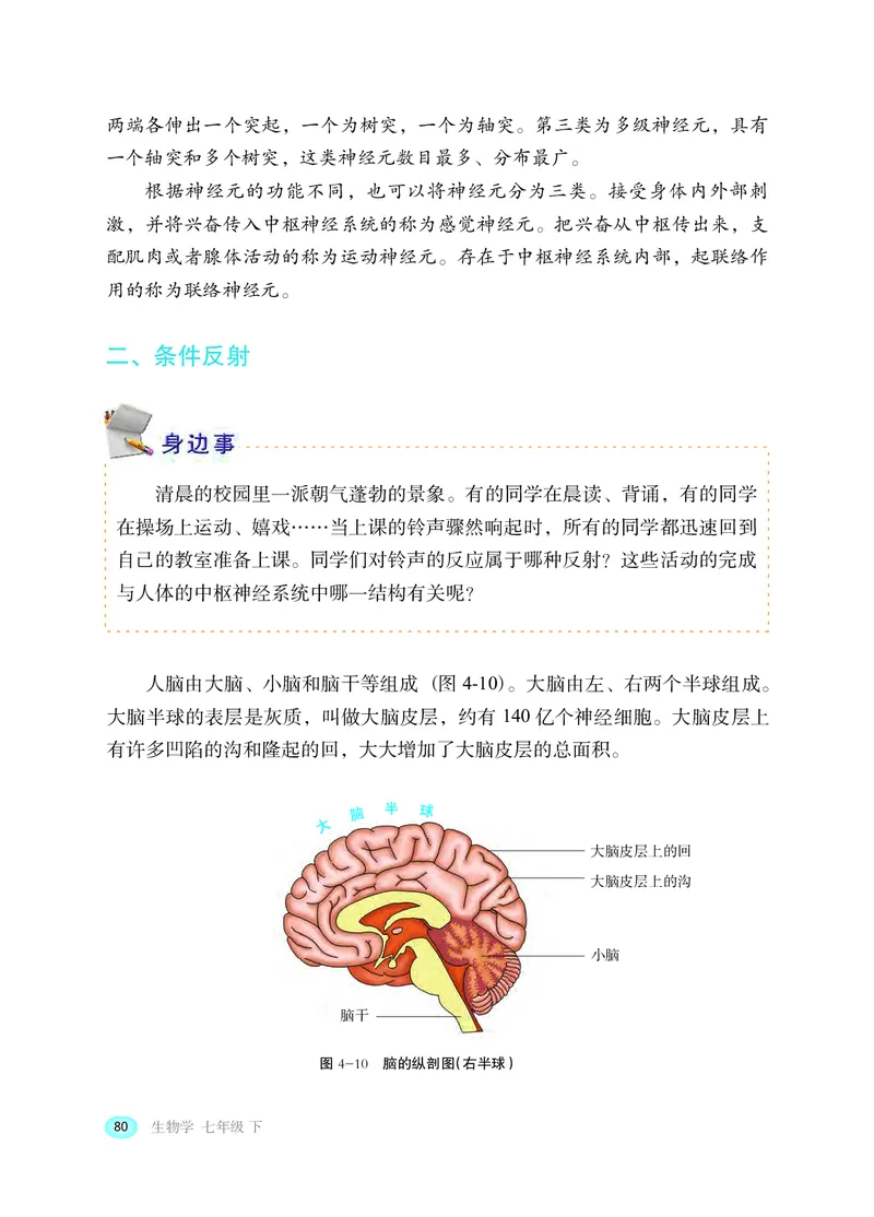 冀少版7年级生物下册高清教材_4-教培资料-26年最新资料-同步更新_初中高中教资_03科三专项（进去保存报考的学科即可）_02科三专项（笔记真题思维导图教学设计版本二）