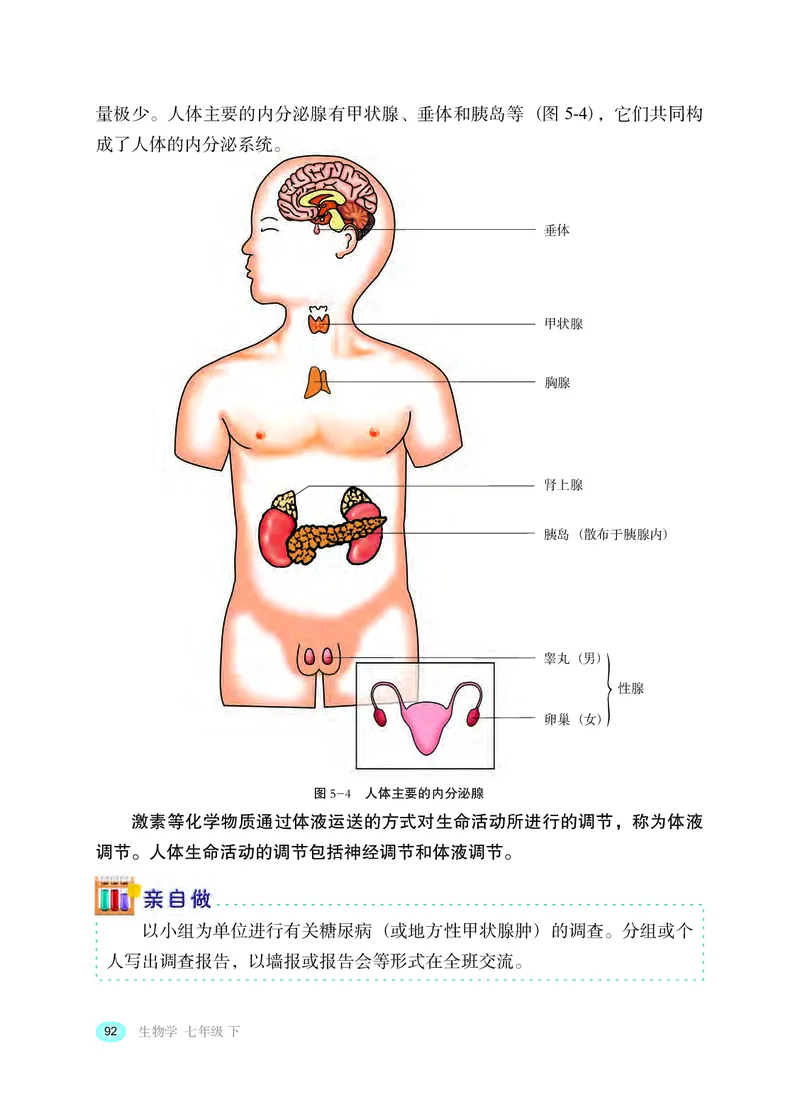 冀少版7年级生物下册高清教材_4-教培资料-26年最新资料-同步更新_初中高中教资_03科三专项（进去保存报考的学科即可）_02科三专项（笔记真题思维导图教学设计版本二）
