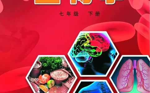 冀少版7年级生物下册高清教材_4-教培资料-26年最新资料-同步更新_初中高中教资_03科三专项（进去保存报考的学科即可）_02科三专项（笔记真题思维导图教学设计版本二）