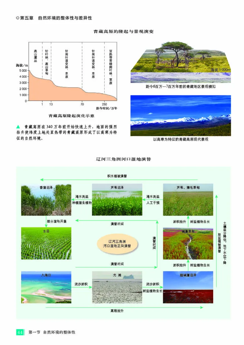 人教版地理选修第一册地理图册_4-教培资料-26年最新资料-同步更新_初中高中教资_03科三专项（进去保存报考的学科即可）_02科三专项（笔记真题思维导图教学设计版本二）