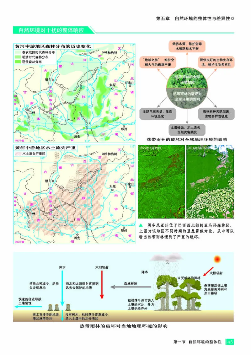 人教版地理选修第一册地理图册_4-教培资料-26年最新资料-同步更新_初中高中教资_03科三专项（进去保存报考的学科即可）_02科三专项（笔记真题思维导图教学设计版本二）