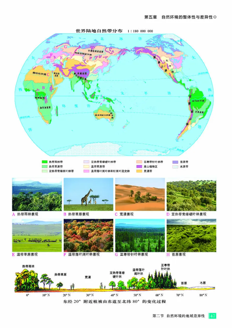 人教版地理选修第一册地理图册_4-教培资料-26年最新资料-同步更新_初中高中教资_03科三专项（进去保存报考的学科即可）_02科三专项（笔记真题思维导图教学设计版本二）