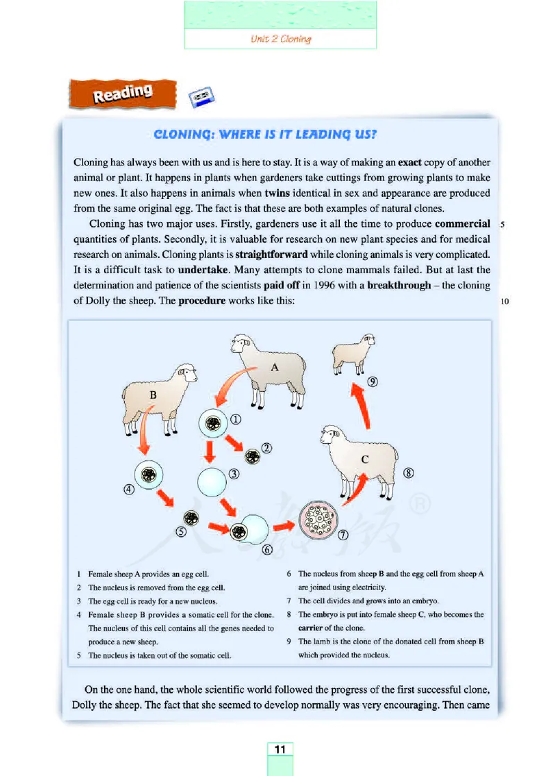 人教版高中英语选修8_4-教培资料-26年最新资料-同步更新_初中高中教资_03科三专项（进去保存报考的学科即可）_02科三专项（笔记真题思维导图教学设计版本二）