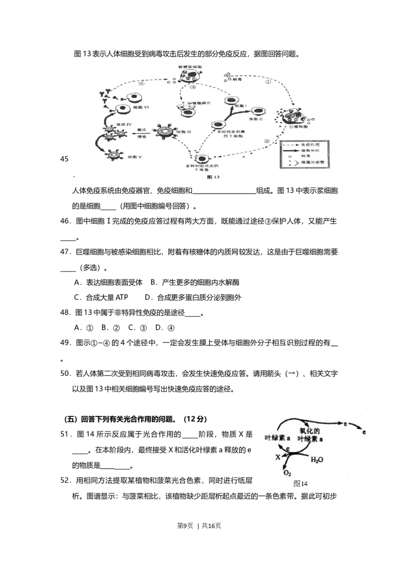2013年高考生物试卷（上海）（空白卷）_1.高考2025全国各省真题+答案_01.2008-2024全国高考真题（按省份分类）_31.上海_2008-2022&middot;（上海）生物高考真题
