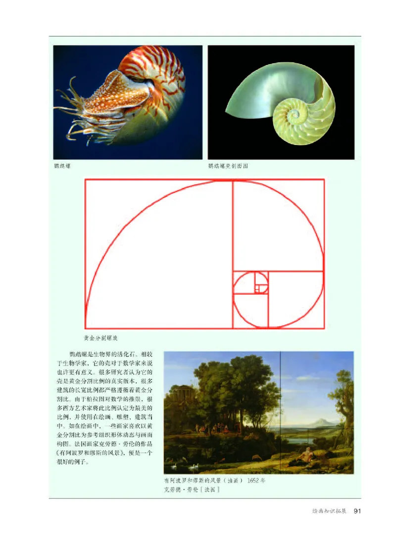 人教版美术选修1高清教材_4-教培资料-26年最新资料-同步更新_初中高中教资_03科三专项（进去保存报考的学科即可）_02科三专项（笔记真题思维导图教学设计版本二）