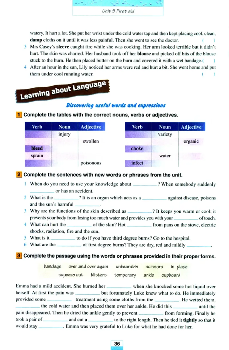 人教版高中英语必修5_4-教培资料-26年最新资料-同步更新_初中高中教资_03科三专项（进去保存报考的学科即可）_02科三专项（笔记真题思维导图教学设计版本二）