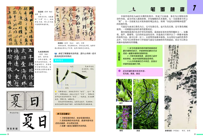 冀美版7年级美术上册高清教材_4-教培资料-26年最新资料-同步更新_初中高中教资_03科三专项（进去保存报考的学科即可）_02科三专项（笔记真题思维导图教学设计版本二）