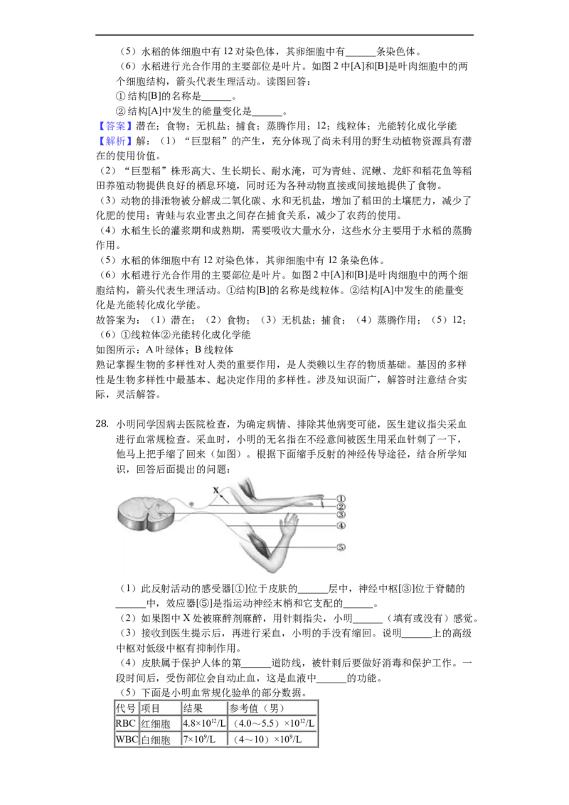 2018年德州市中考生物真题试题(解析版)_中考真题_8.生物中考真题2015-2024年_地区卷_山东省_山东德州生物11-20