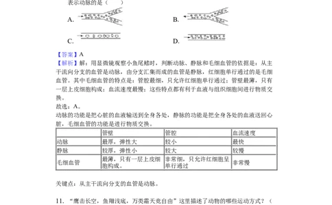2018年德州市中考生物真题试题(解析版)_中考真题_8.生物中考真题2015-2024年_地区卷_山东省_山东德州生物11-20