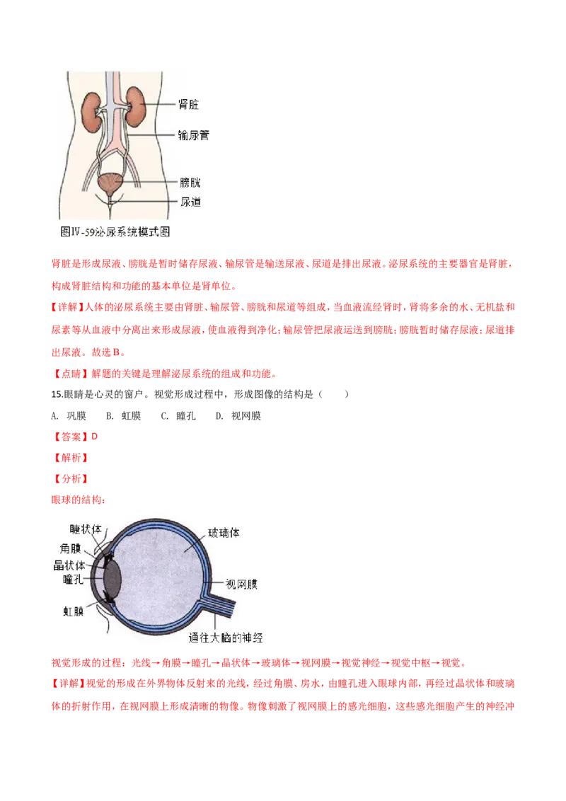 2018年广西省柳州市中考生物试题（解析）_中考真题_8.生物中考真题2015-2024年_地区卷_广西省_柳州生物2016-2020
